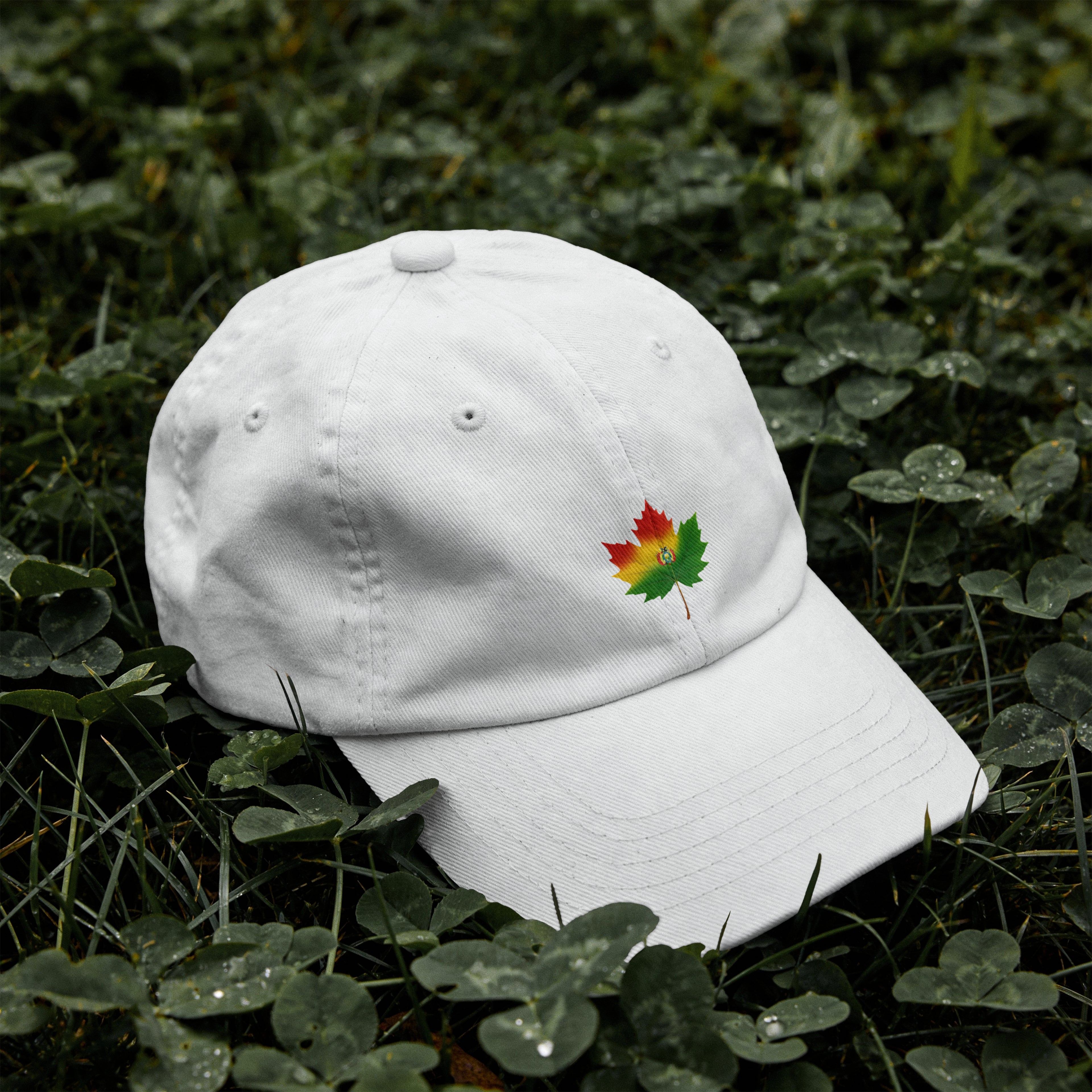 Axis - Unisex Low-Profile Cotton Twill Cap